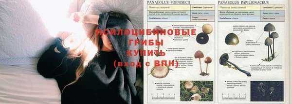 кокаин премиум Арсеньев
